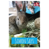 Simon Says