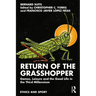 Return of the Grasshopper: Games, Leisure and the Good Life in the Third Millennium