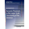 Baryonic Processes in the Large-Scale Structuring of the Universe