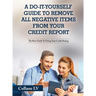 A Do-It-Yourself Guide To Remove All Negative Items From Your Credit Report: The Best Guide To Fixing Your Credit Rating