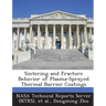 Sintering and Fracture Behavior of Plasma-Sprayed Thermal Barrier Coatings