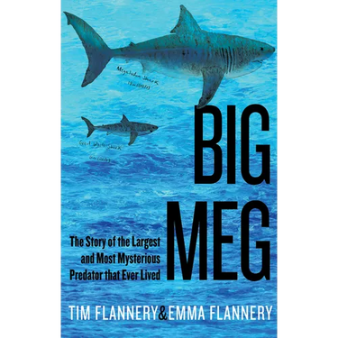 Big Meg: The Story of the Largest and Most Mysterious Predator That Ever Lived