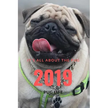 It;s All about the Pug: Pug Life