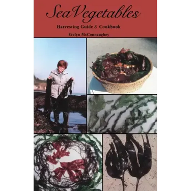 Sea Vegetables, Harvesting Guide