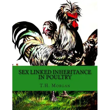 Sex Linked Inheritance in Poultry