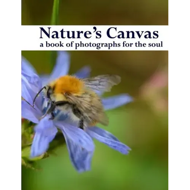 Nature's Canvas, a book of photographs for the soul: a coffee table book of photographs of nature, relaxing images to enjoy and share