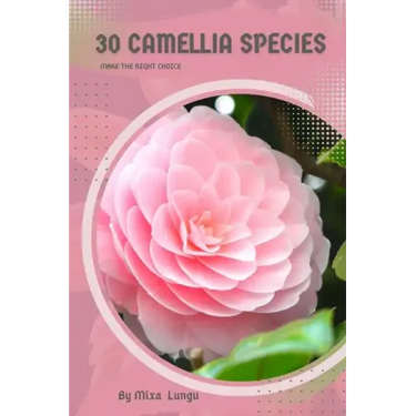 30 Camellia species: Make the right choice