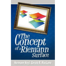 The Concept of a Riemann Surface