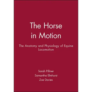 Horse Motion