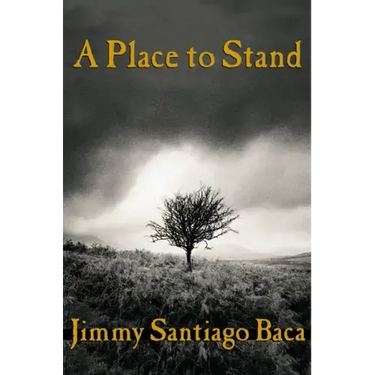 A Place to Stand
