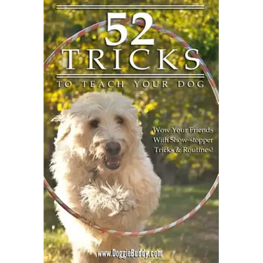 52 Tricks To Teach Your Dog