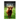 Bulls - Curious Kids Press