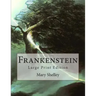 Frankenstein: Large Print Edition