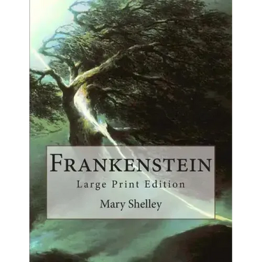 Frankenstein: Large Print Edition