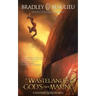 A Wasteland of My God's Own Making: A Shattered Sands Novella