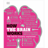 How the Brain Works: The Facts Visually Explained