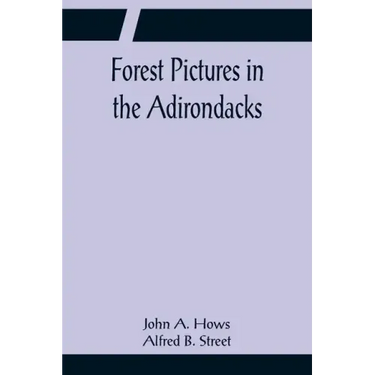 Forest Pictures in the Adirondacks