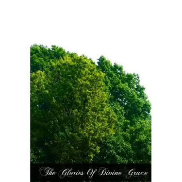 The Glories Of Divine Grace