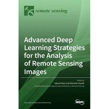 Advanced Deep Learning Strategies for the Analysis of Remote Sensing Images