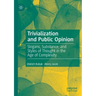 Trivialization and Public Opinion: Slogans, Substance, and Styles of Thought in the Age of Complexity