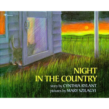 Night in the Country