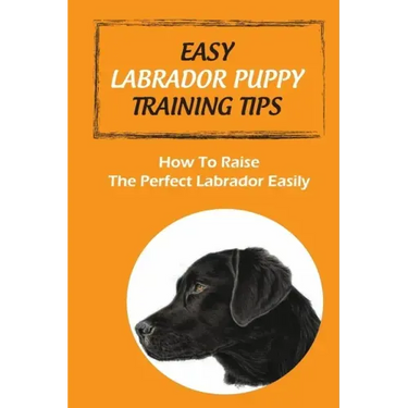 Easy Labrador Puppy Training Tips: How To Raise The Perfect Labrador Easily: Crate Training Guide For Labrador