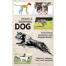 Athletic and Working Dog: Functional Anatomy and Biomechanics