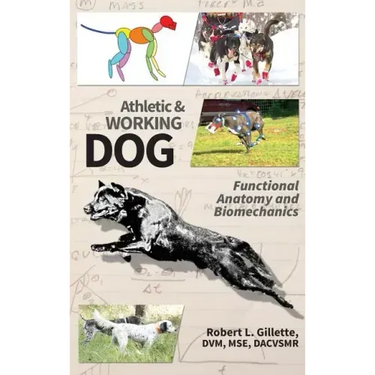 Athletic and Working Dog: Functional Anatomy and Biomechanics