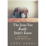 The Jesus You Really Didn't Know: Rediscovering the Teaching Ministry of Jesus