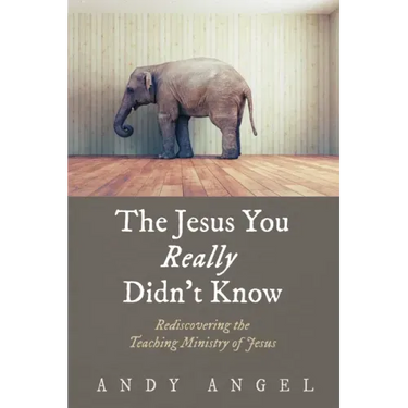 The Jesus You Really Didn't Know: Rediscovering the Teaching Ministry of Jesus