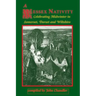 A Wessex Nativity