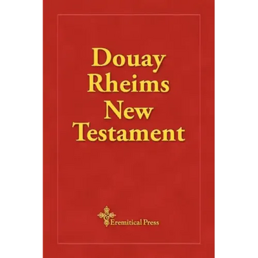 Douay Rheims New Testament