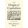 The Origin of Capitalism: A Longer View