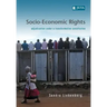 Socio-Economic Rights - Adjudication Under a Transformative Constitution