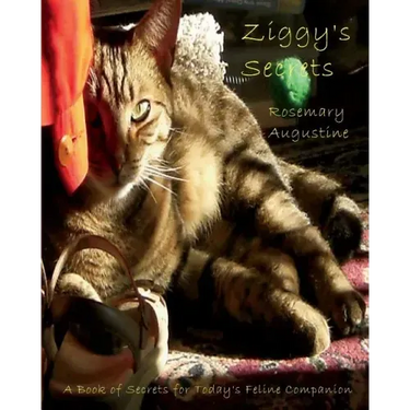 Ziggy's Secrets: An Internet Password Keeper