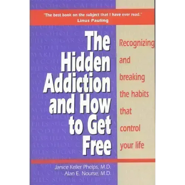 Hidden Addiction and How to Get Free, the - Volumei