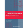 A Path to Combinatorics for Undergraduates: Counting Strategies