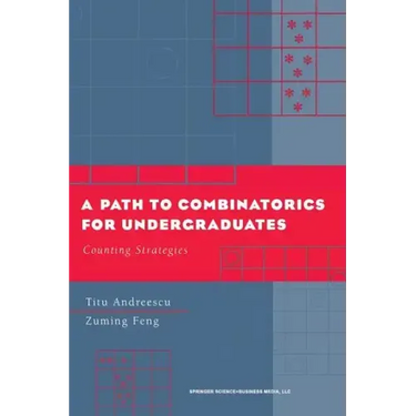 A Path to Combinatorics for Undergraduates: Counting Strategies
