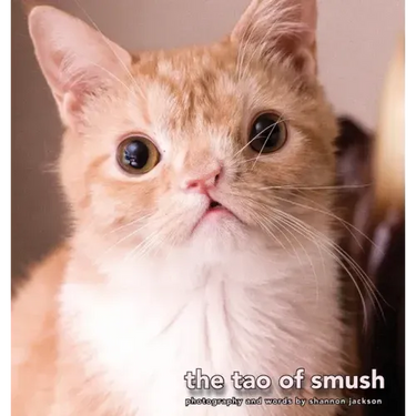 The Tao of Smush