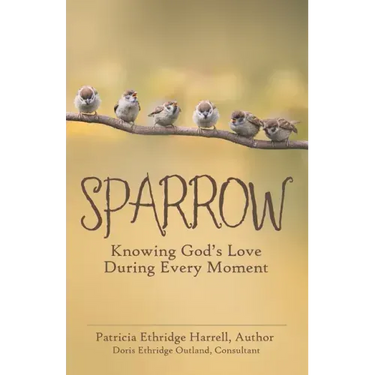 Sparrow: Knowing God's Love During Every Moment