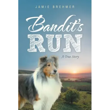 Bandit's Run: A True Story