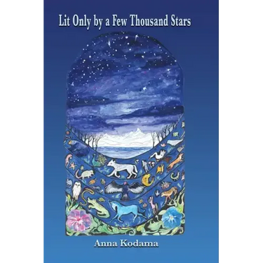 Lit Only by a Few Thousand Stars