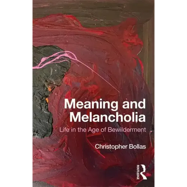 Meaning and Melancholia: Life in the Age of Bewilderment