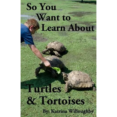 So You Want to Learn About Turtles & Tortoises