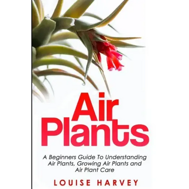 Air Plants: A Beginners Guide To Understanding Air Plants, Growing Air Plants and Air Plant Care (Booklet)