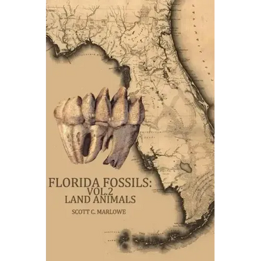Florida Fossils: Land Animals