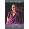 Essential Practice: Lectures on Kamalashila's Stages of Meditation in the Middle Way School