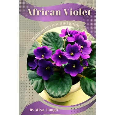 African Violet: Plant overview and guide