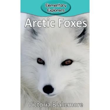 Arctic Foxes