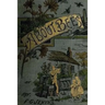 A Book about Bees - Their History, Habits, and Instincts